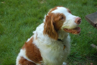 waiting for a crumb